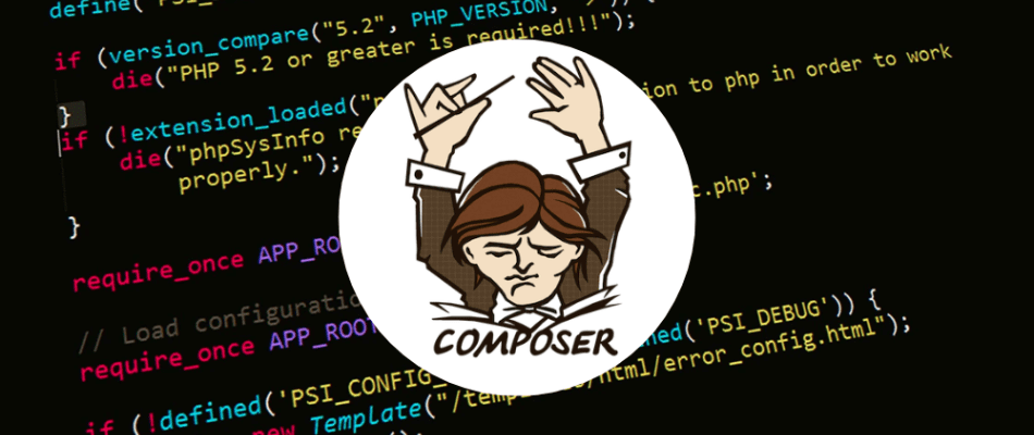 How to check the exact version of an installed composer package?